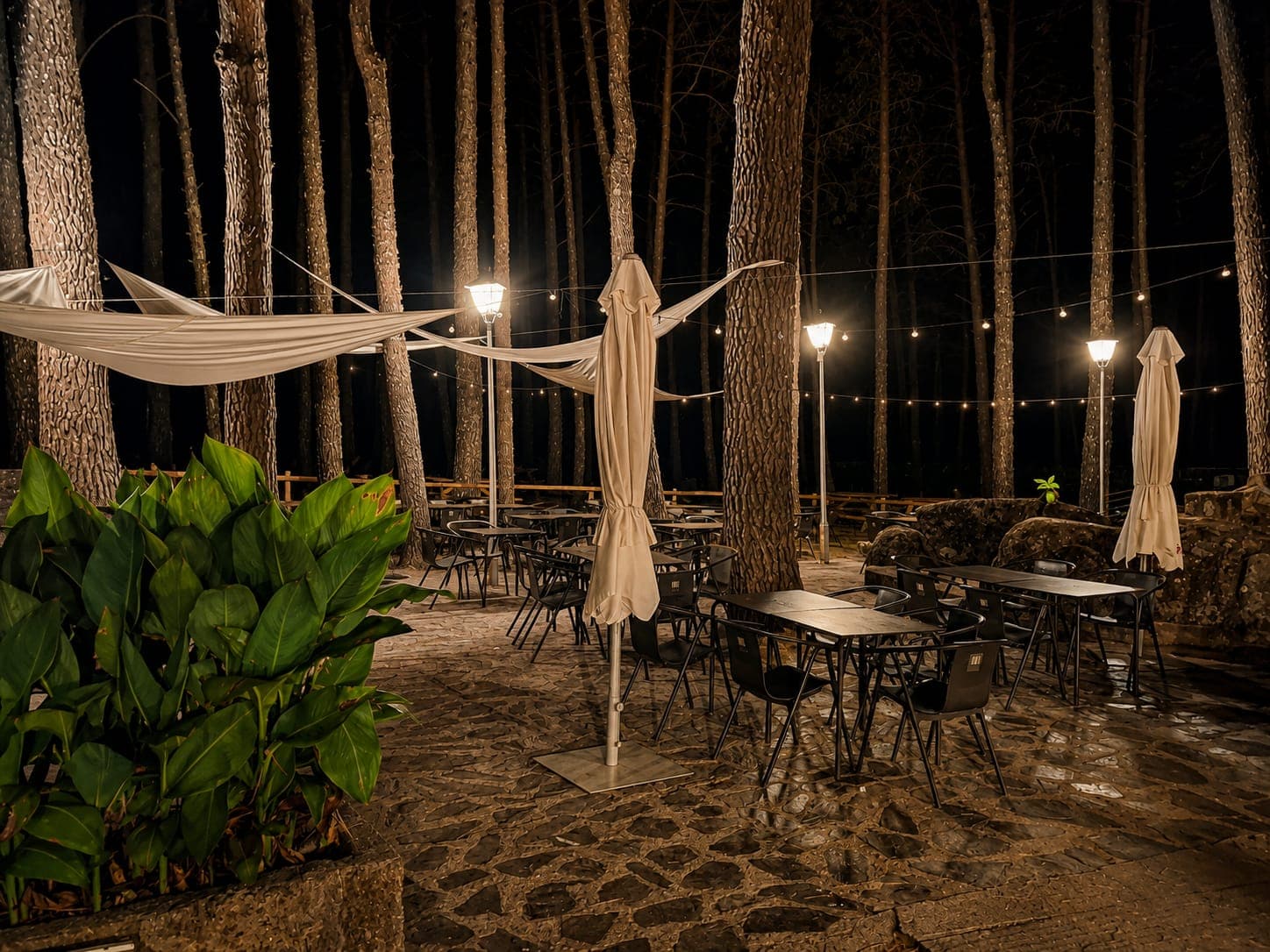 Terraza del Corchuelo entre los pinos, iluminada por la noche